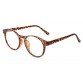 Optical glasses Optical glasses